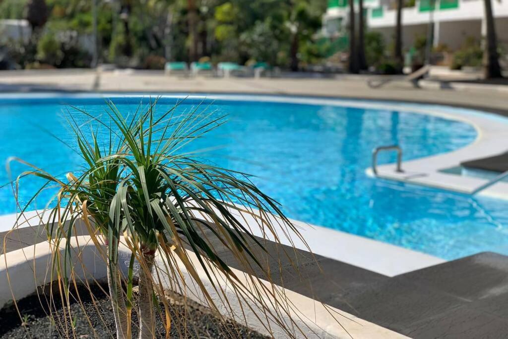 Apartamento Bastian Casas Verdes Costa Teguise Esterno foto